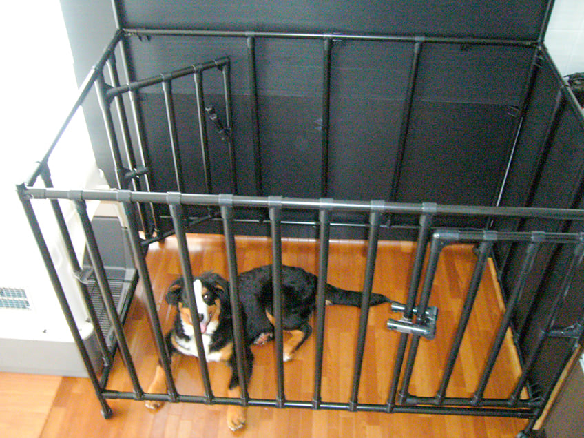 Chuồng chó làm bằng ống thép bọc nhựa