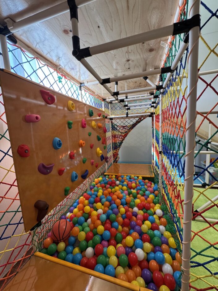 Khu vực nhà bóng